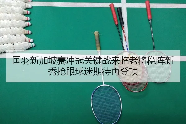 国羽新加坡赛冲冠关键战来临老将稳阵新秀抢眼球迷期待再登顶